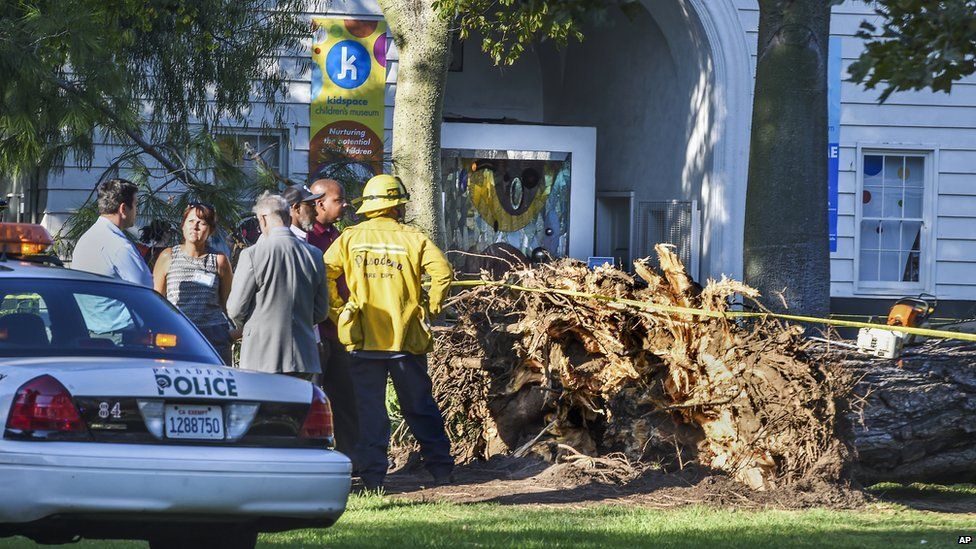 Officials stand by a tree that fell near the Kidspace Children's Museum in Pasadena, California on 28 July
