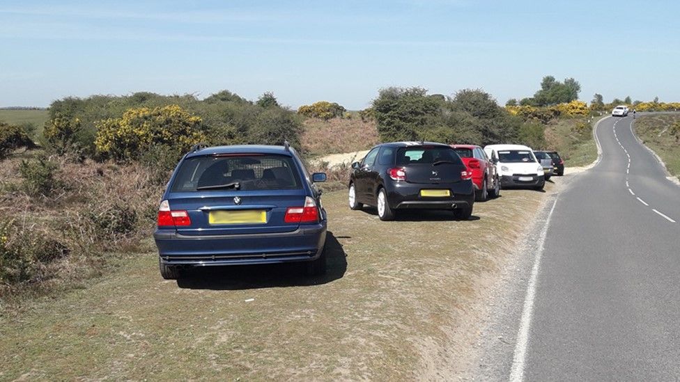 Parked cars at Wilverley Plain