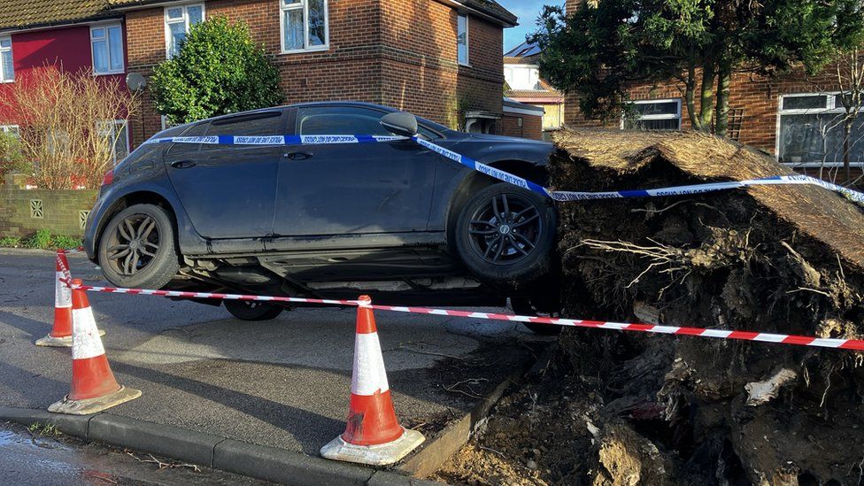 A car lifted off the ground by fallen tree roots