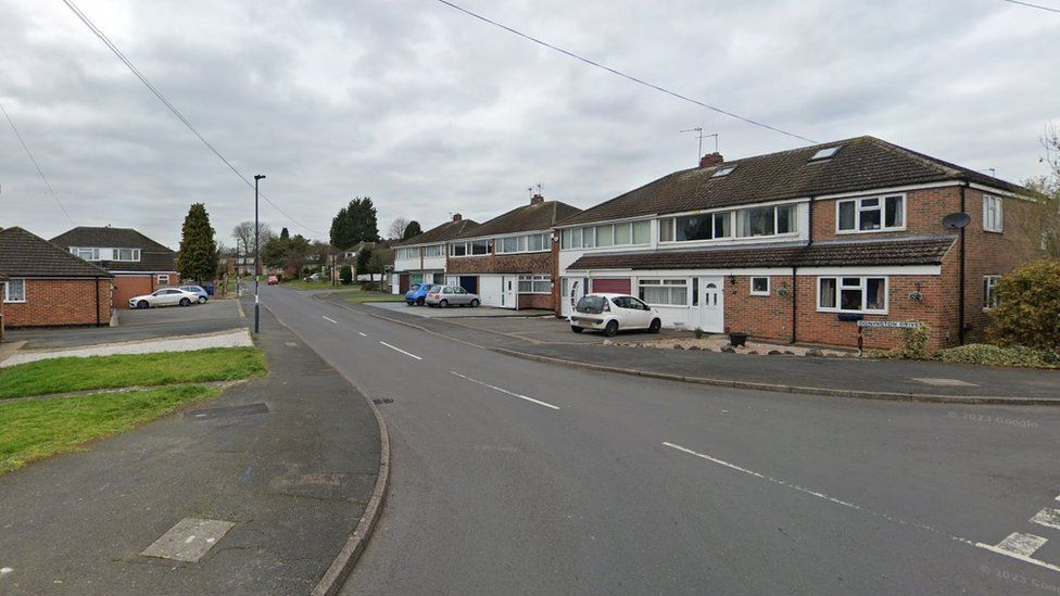 Boy, 16, arrested after dog walker hit by car BBC News