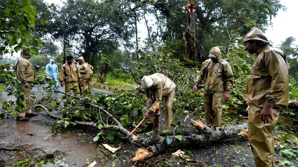 Workers cut through a fallen tree to clear the road between Gopalpur and Berhampura after heavy winds brought by Cyclone Titli struck the area, near Gopalpur in eastern Orissa state on October 11, 2018