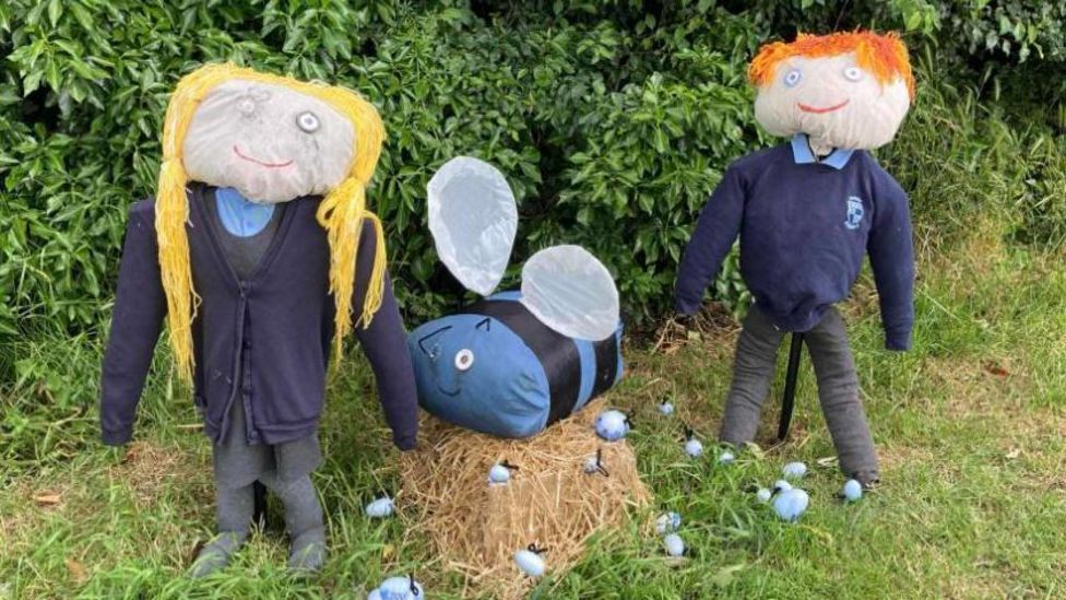 Anlaby school's missing scarecrow found torn in two - BBC News