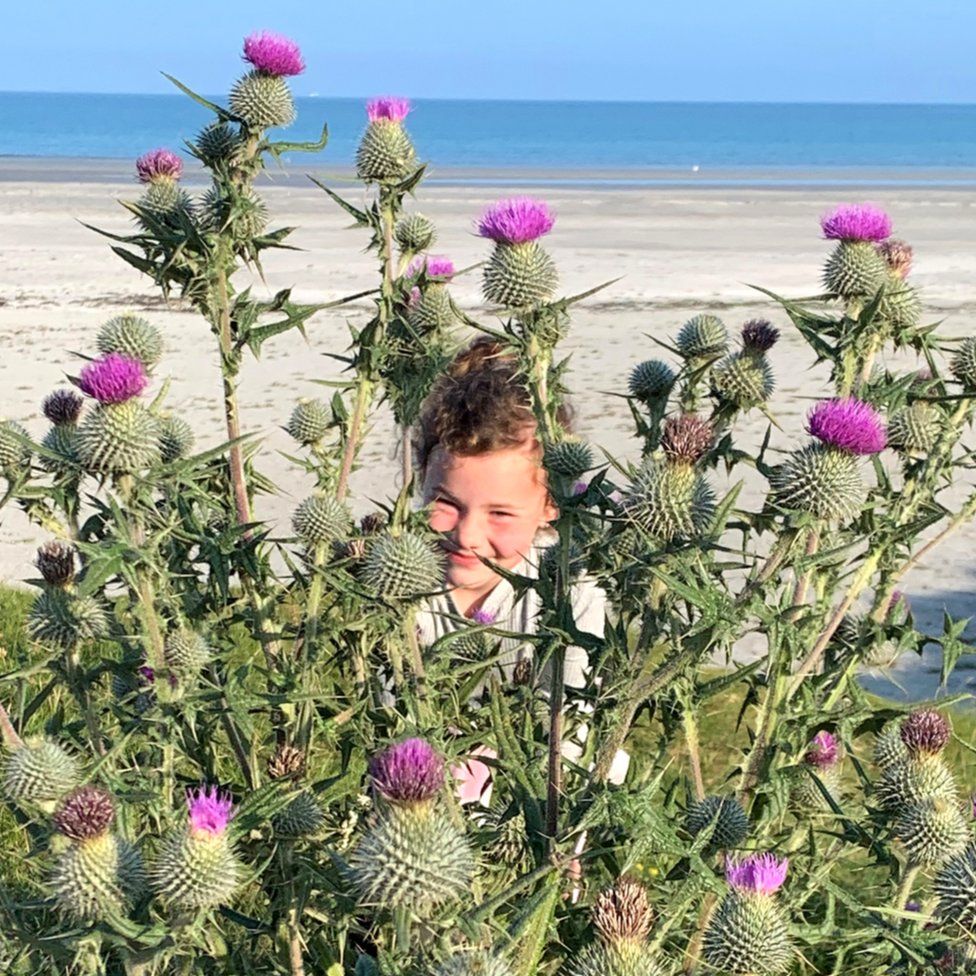 Girl and thistles