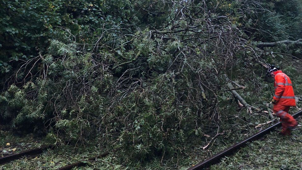 Fallen tree on railway tracks at Gomshall in Surrey