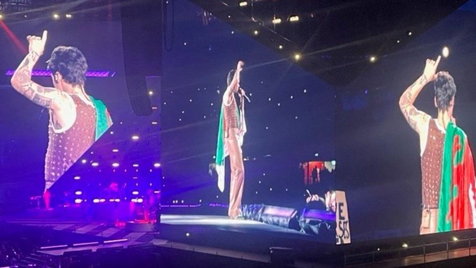 Harry Styles on stage singing with a Welsh flag