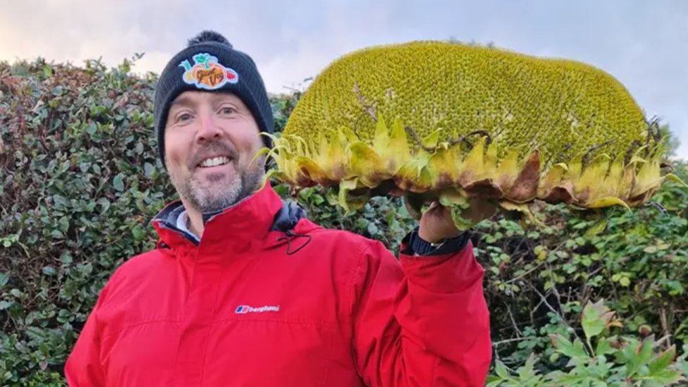 Kevin Fortey holding the world's heaviest sunflower head