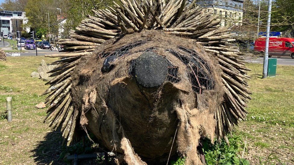 One of the hedgehogs with a damaged face