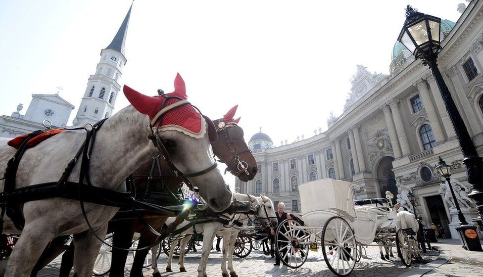 Coachmen with their horses wait for tourists near Hofburg Palace in Vienna