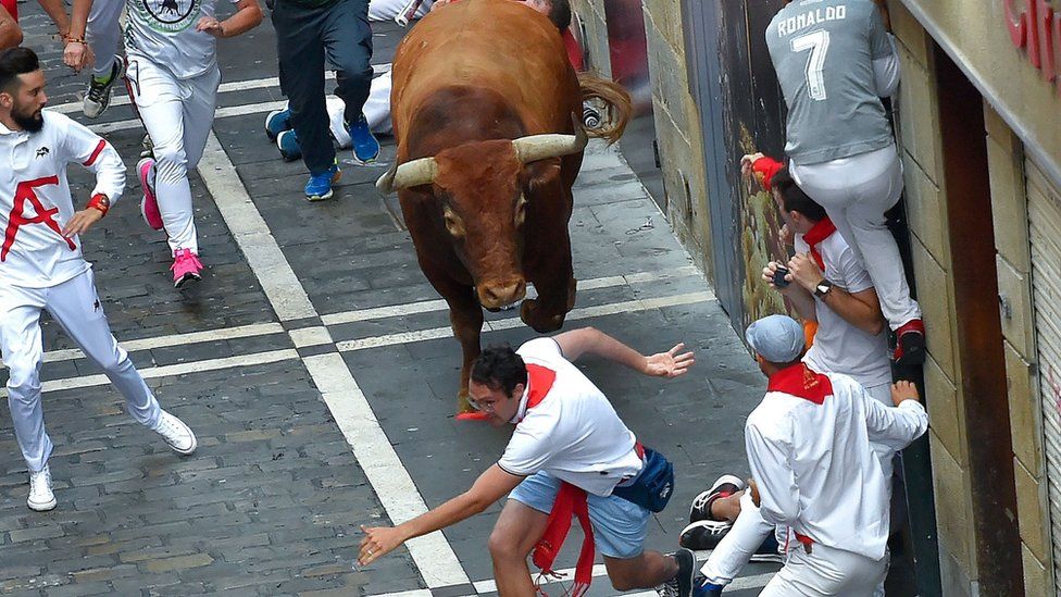 Participants try to avoid a Miura fighting bull on the last bullrun of the San Fermin festival in Pamplona, northern Spain
