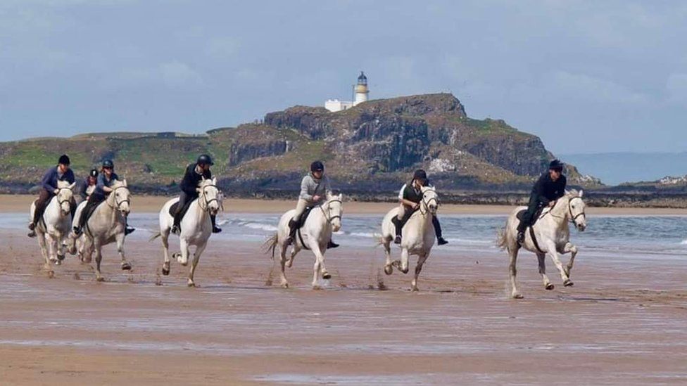 horses from stables on beach