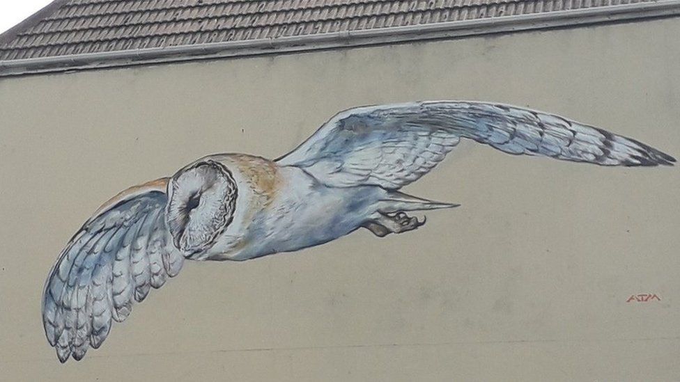 Barn owl mural