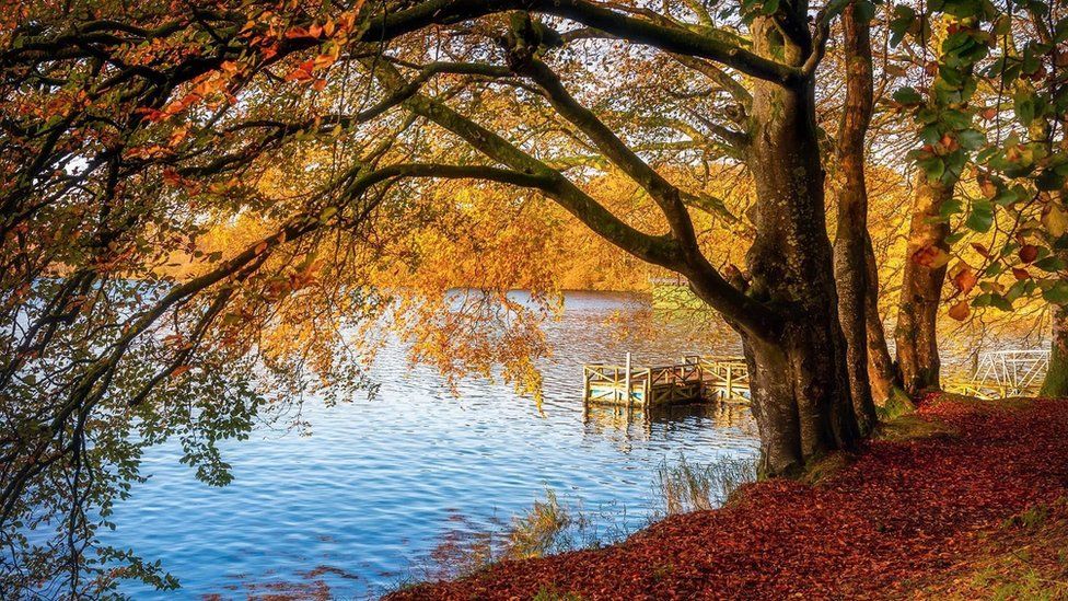 Autumn equinox: A date steeped in Irish cultural heritage - BBC News