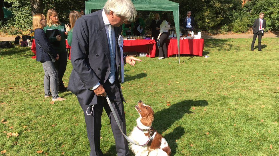 Cockapoo named Corbyn tops Westminster dog vote - BBC News