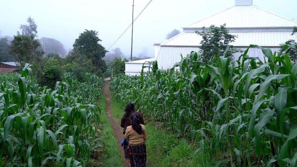 Girls walk towards the Centro Cultural Sotz'il Jay