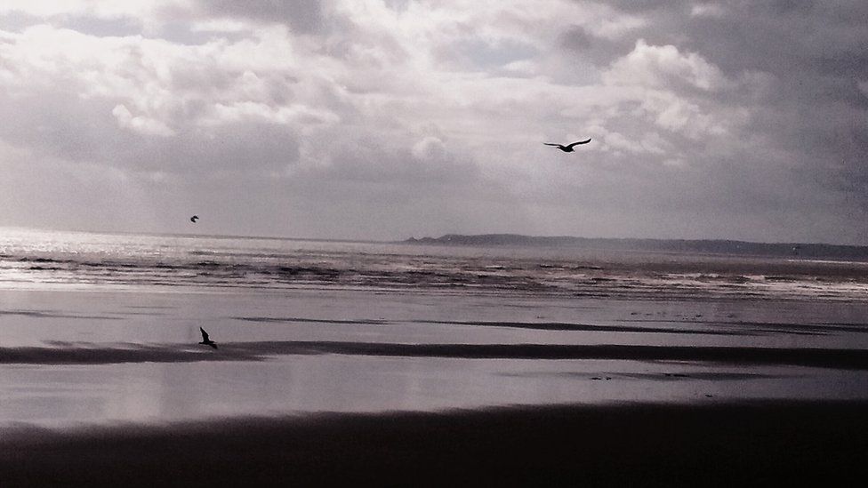 A moment of calm: Sue Browning took a stroll in blustery conditions but managed to capture this peaceful shot of a deserted Aberavon beach.