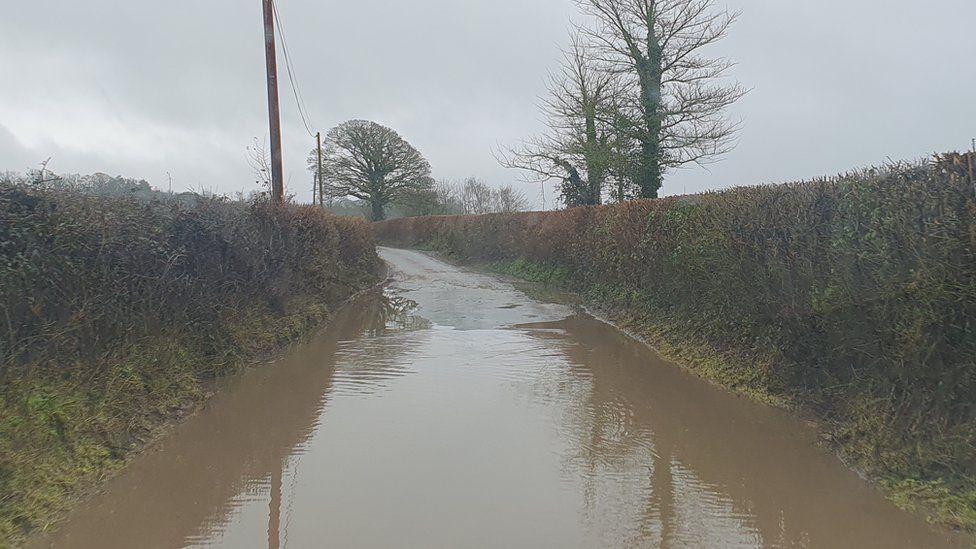 Dorset schools closed and travel disrupted due to rain BBC News