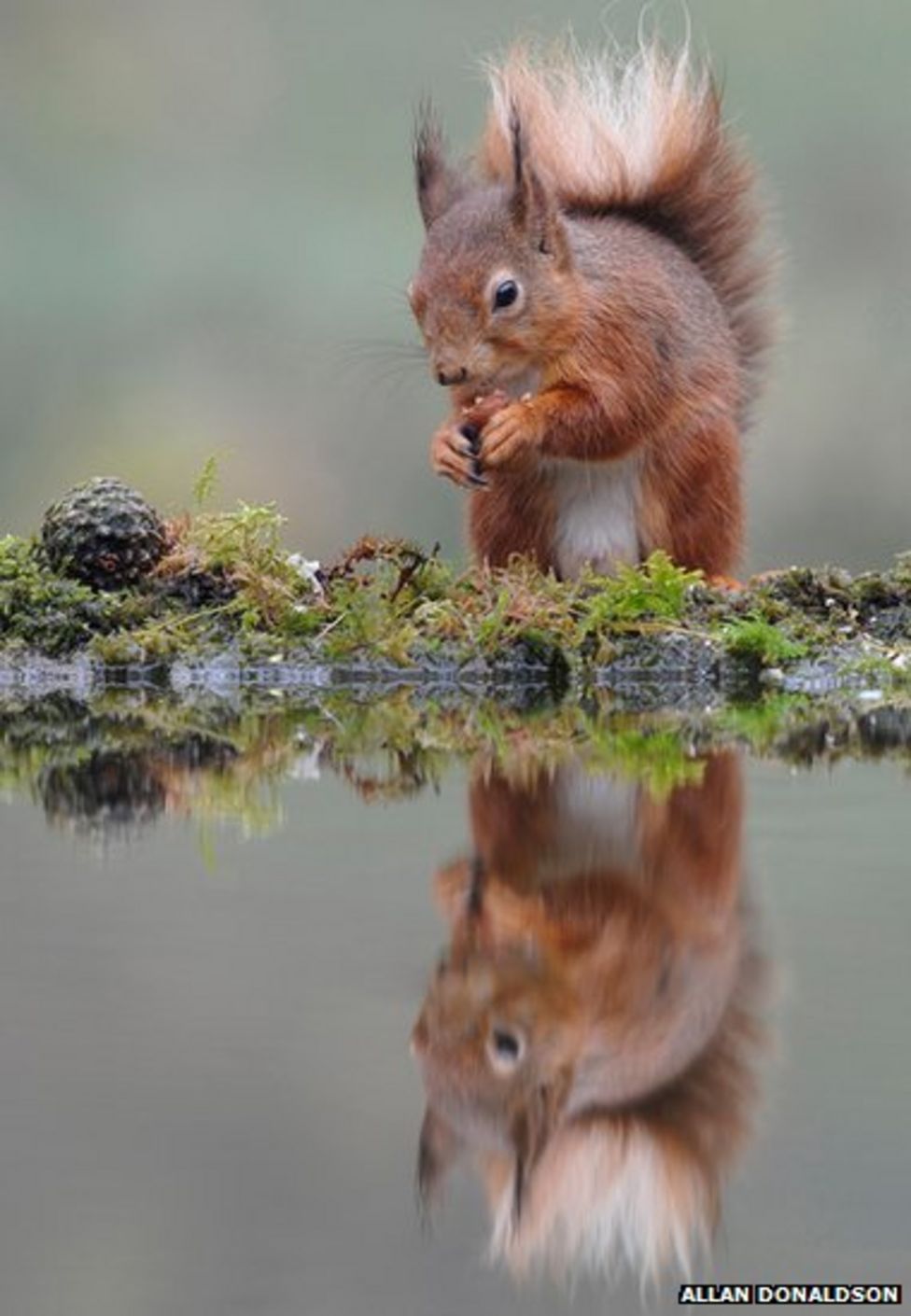 Your pictures: Reflections - BBC News