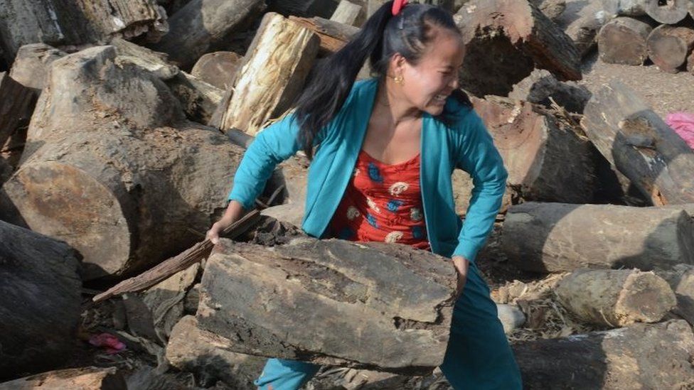 A Nepalese woman carries firewood being sold by the government in Kathmandu (16 November 2015)