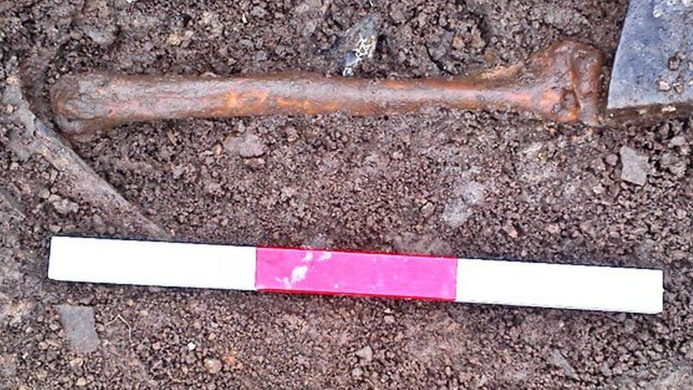 Arm bone found at Ness of Brodgar