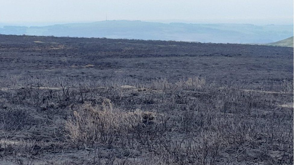 Scorched earth and burnt scrubland