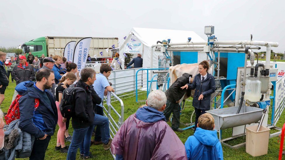 People watching a milking demonstration