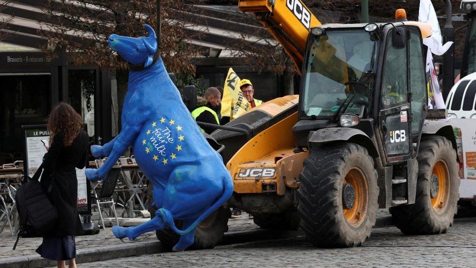 A cow figure hangs from a vehicle, as French farmers stage a protest near the European Parliament in Brussels, Belgium January 24, 2024