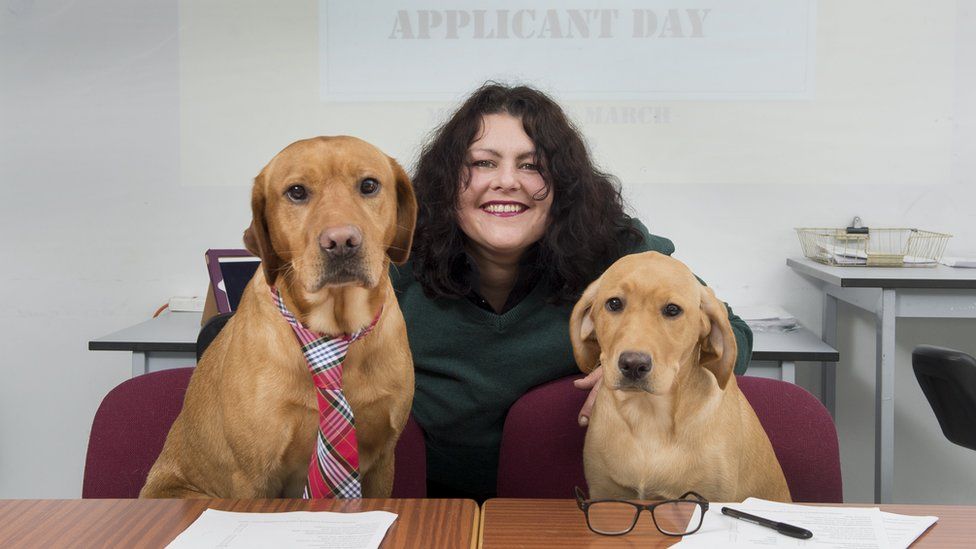 Woman with two dogs in interview room