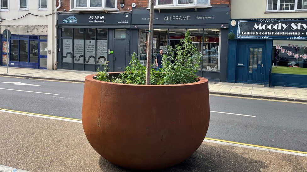 A giant plant top with a tree in it on Dunstable High Street