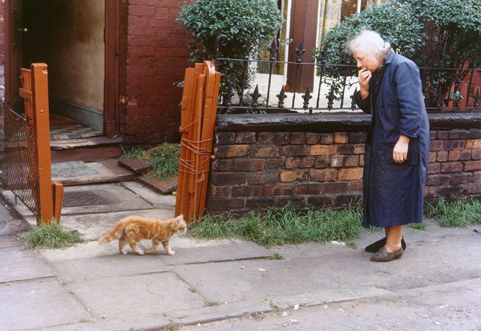 An elderly woman looks at a cat on a street pavement
