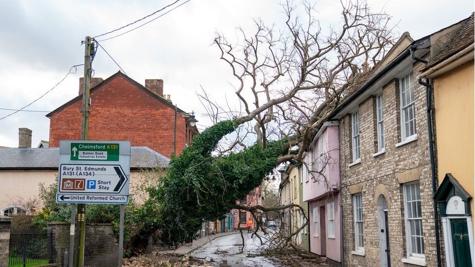 A fallen tree rests against a house blocking a road in Sudbury, Suffolk