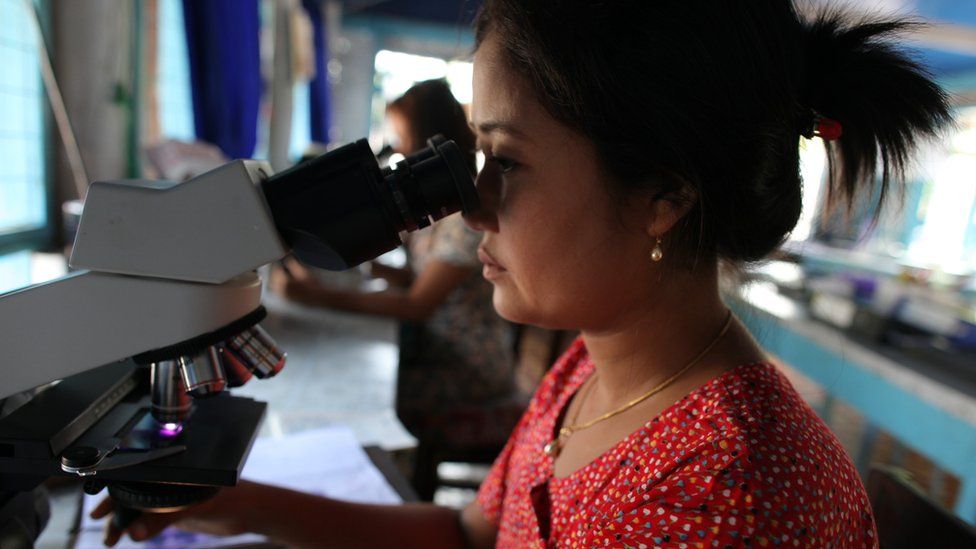 A Burmese woman looks down a microscope in a laboratory.
