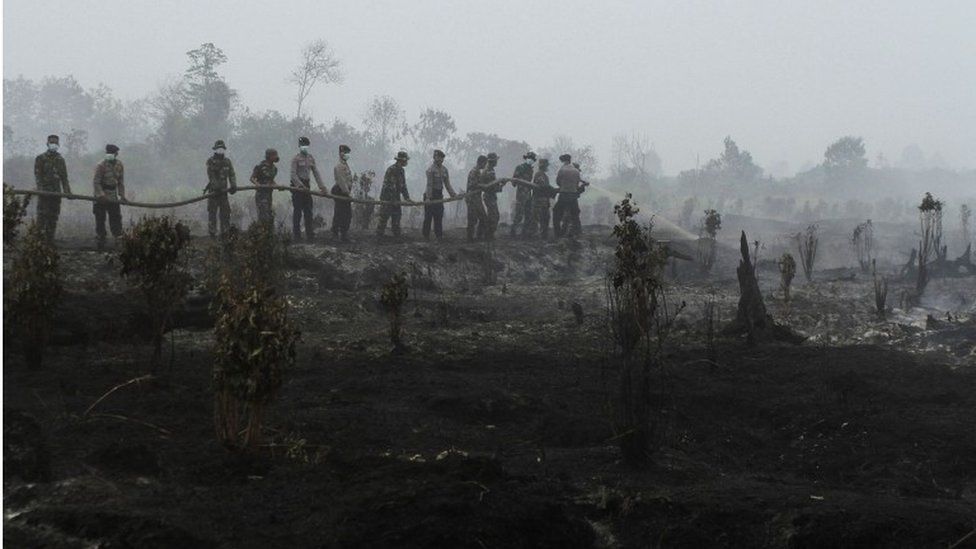 Firefighters tackle a forest fire in Riau province, Indonesia (29 August 2016)