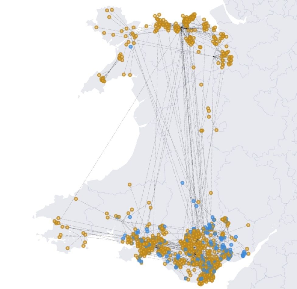 This shows the D variant of Covid in blue and the G variant in orange and how it has been tracked in Wales