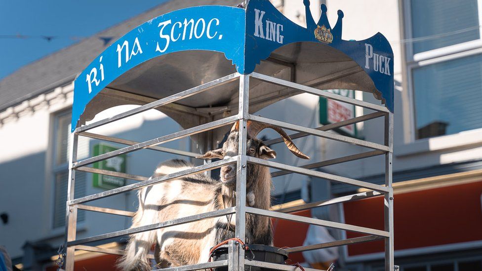 King Puck being paraded through Killorglin for this year's Puck Fair festival
