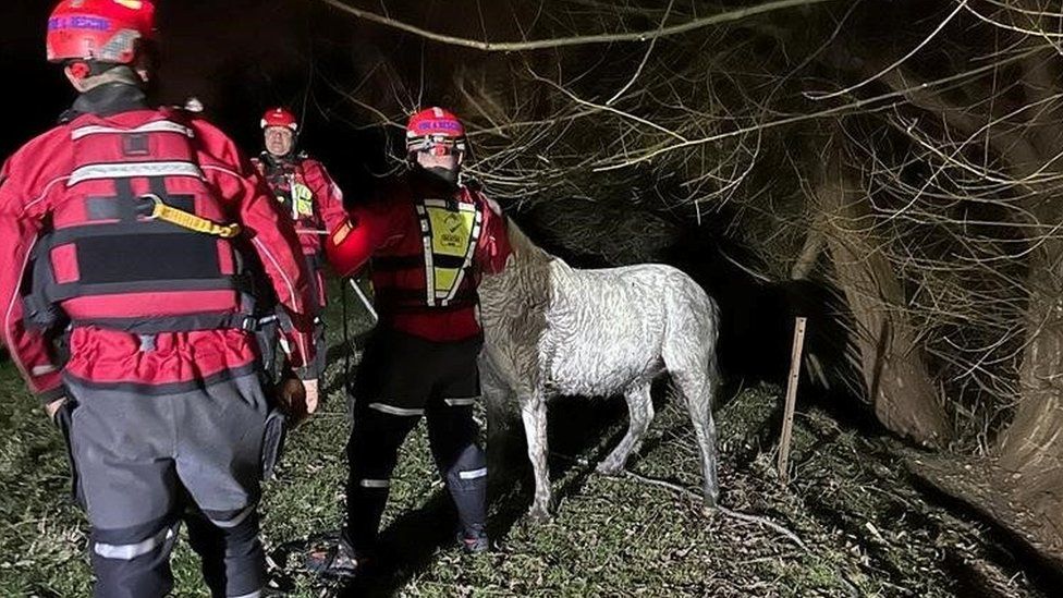 White pony standing by a canal with three rescue personnel in red outfits