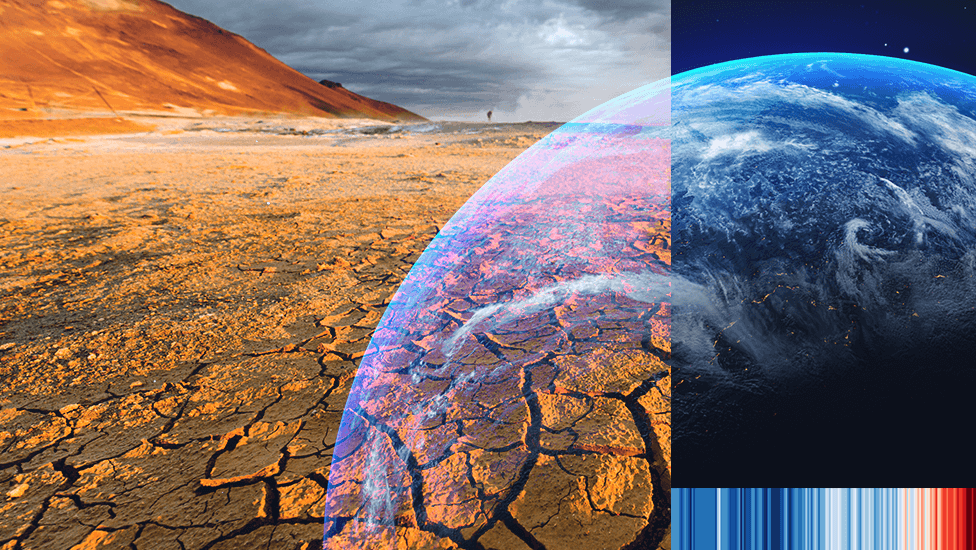 10 year challenge: How the face of our planet has changed in a