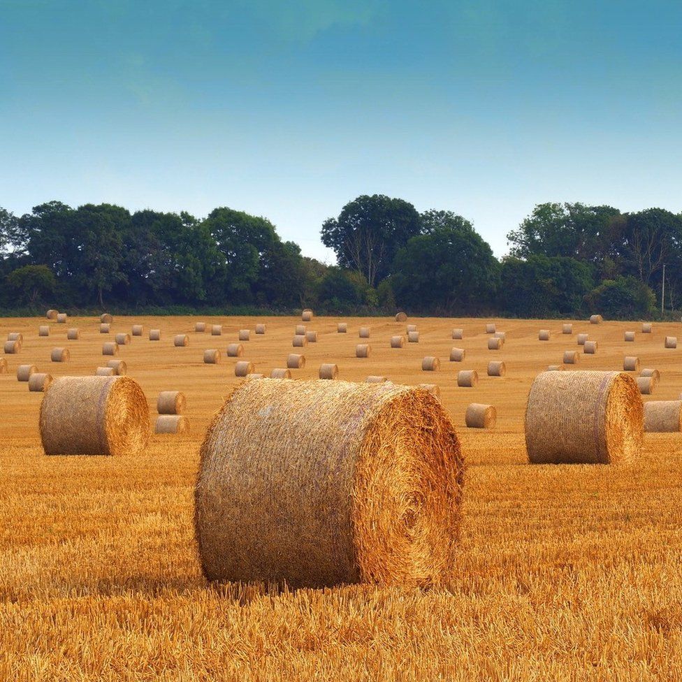 Straw bales in the village of Marr in Doncaster, South Yorkshire