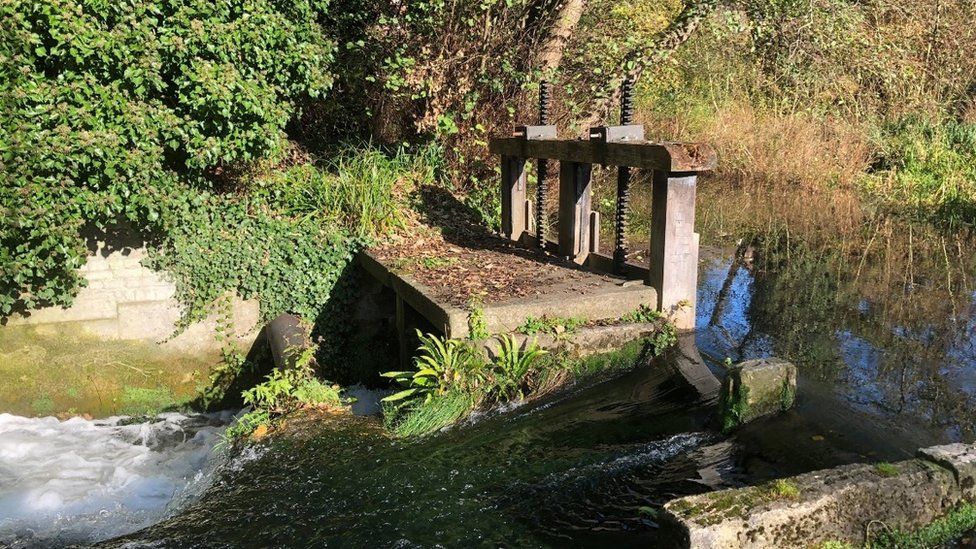 Arundel mill pond