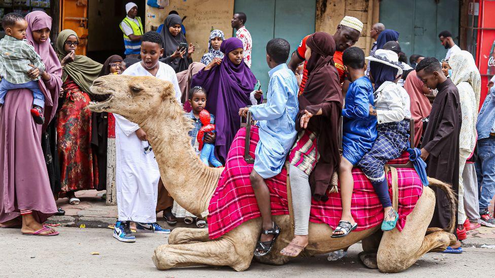 Children sitting on a seated camel in Nairobi, Kenya - Monday 2 May 2022