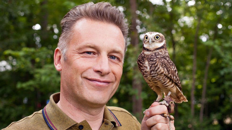 Chris Packham with American burrowing owl