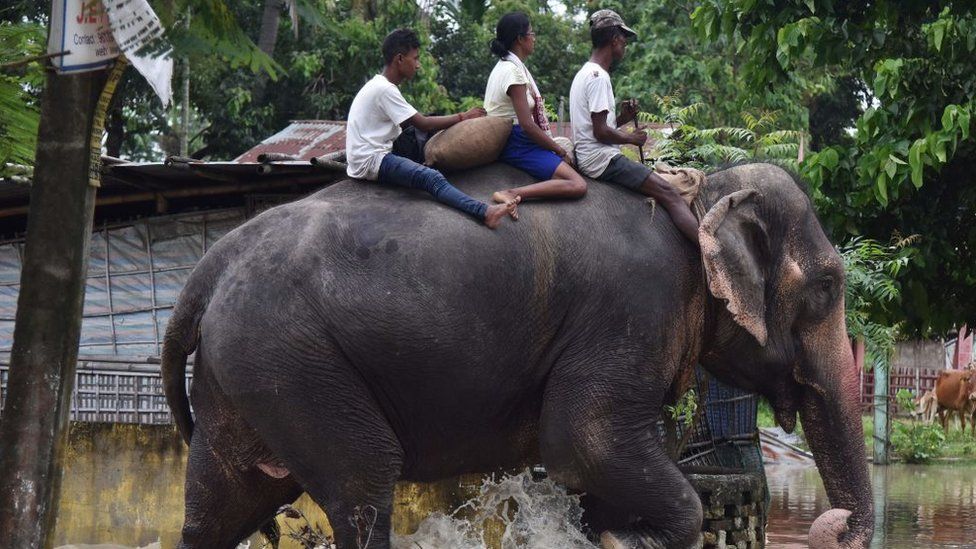 An elephant wades through flood waters with three people on its back in Koliabor, India.