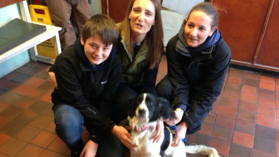 Bella the was reunited with her family at the vets in Bristol today