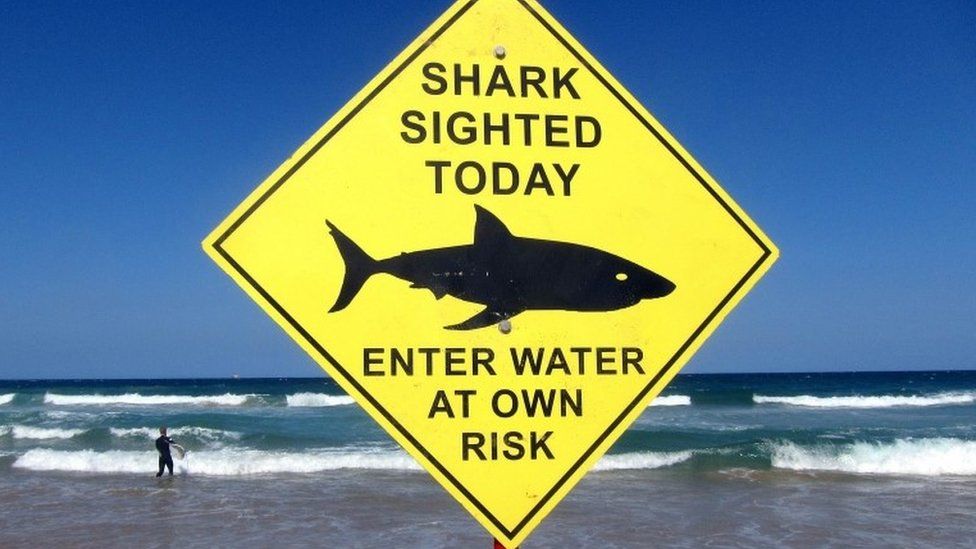 Shark sign, file