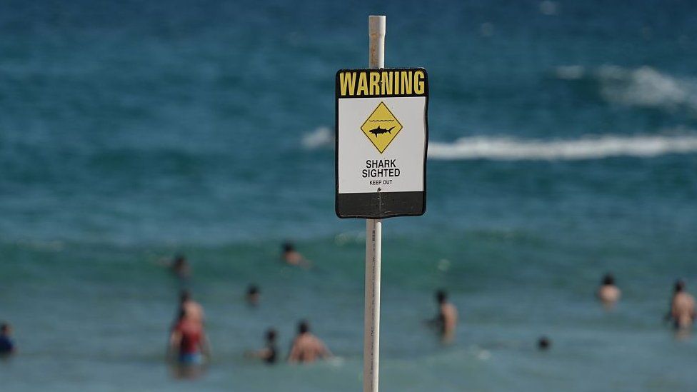 A shark warning sign on a beach in New South Wales, Australia. File photo