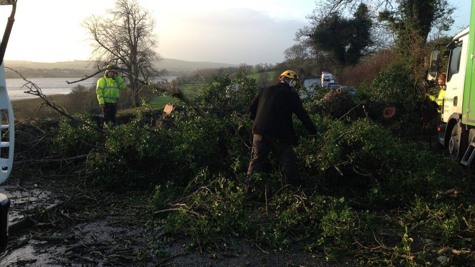 Many roads in County Londonderry have been blocked by trees