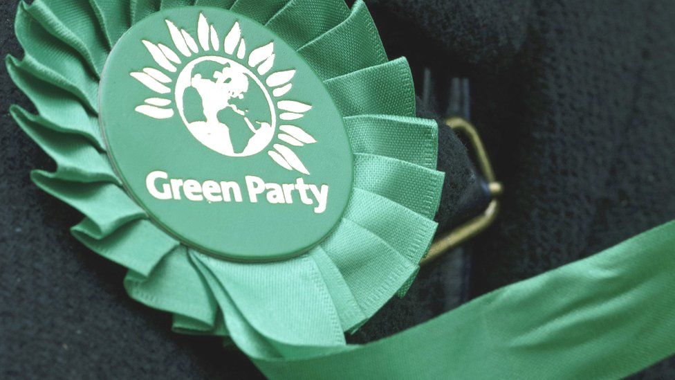 Green Party rosette