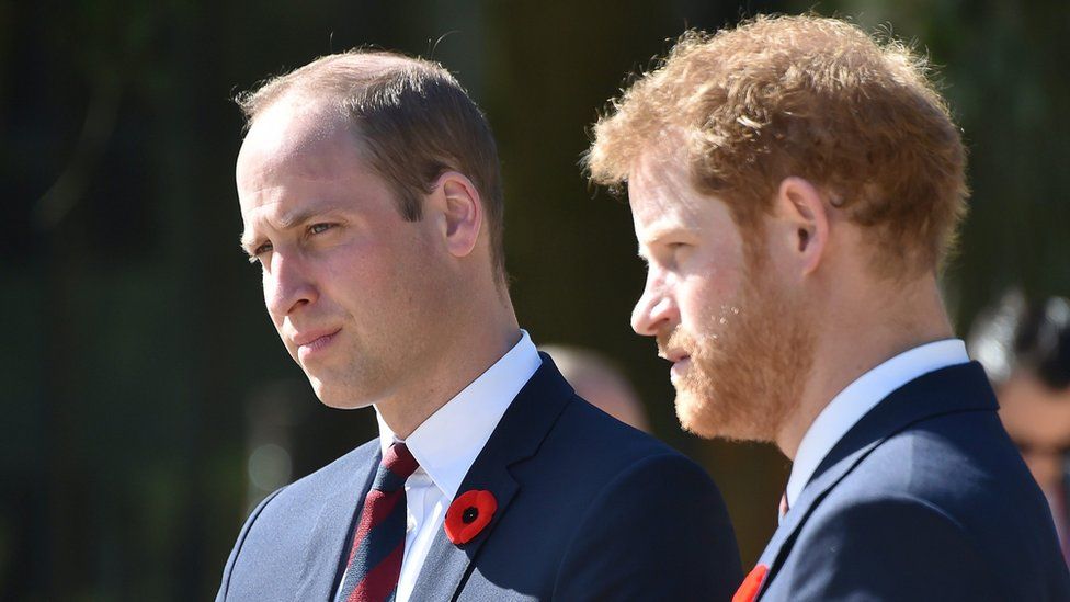 William and Harry at the Canadian National Vimy Memorial in April