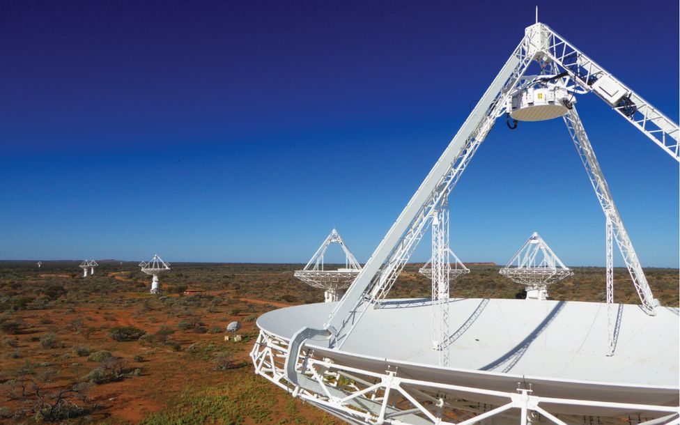 The Askap telescope dishes in Western Australia