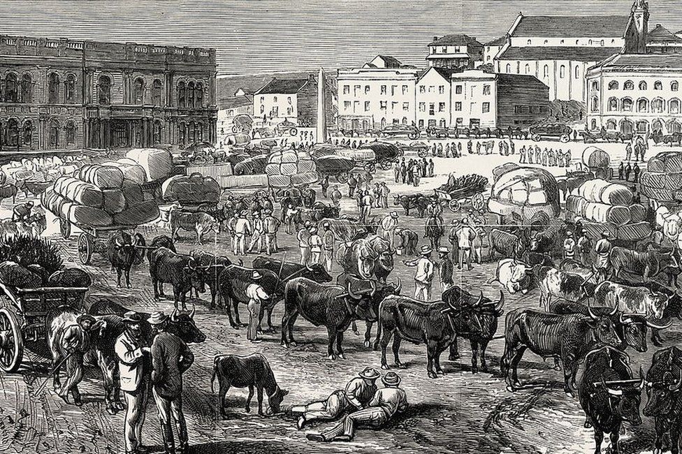 Фотография Порт-Элизабет 1800 г.