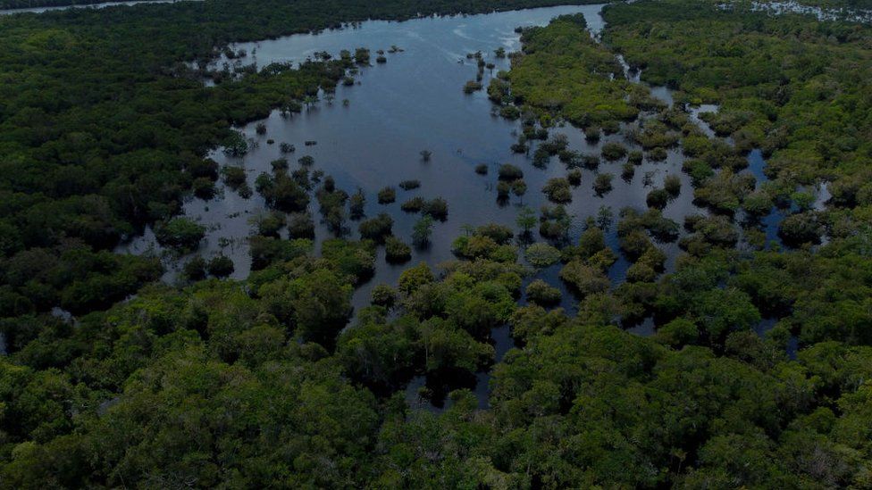 The Unini Extractive Reserve in Brazil's Amazonas state
